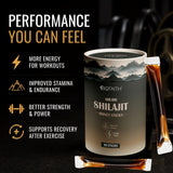 100% Pure Shudh Shilajit Honey Sticks | Boost Energy, Strength & Performance