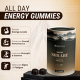 Shudh shilajit gummies Tamarind flavour - 30 gummies
