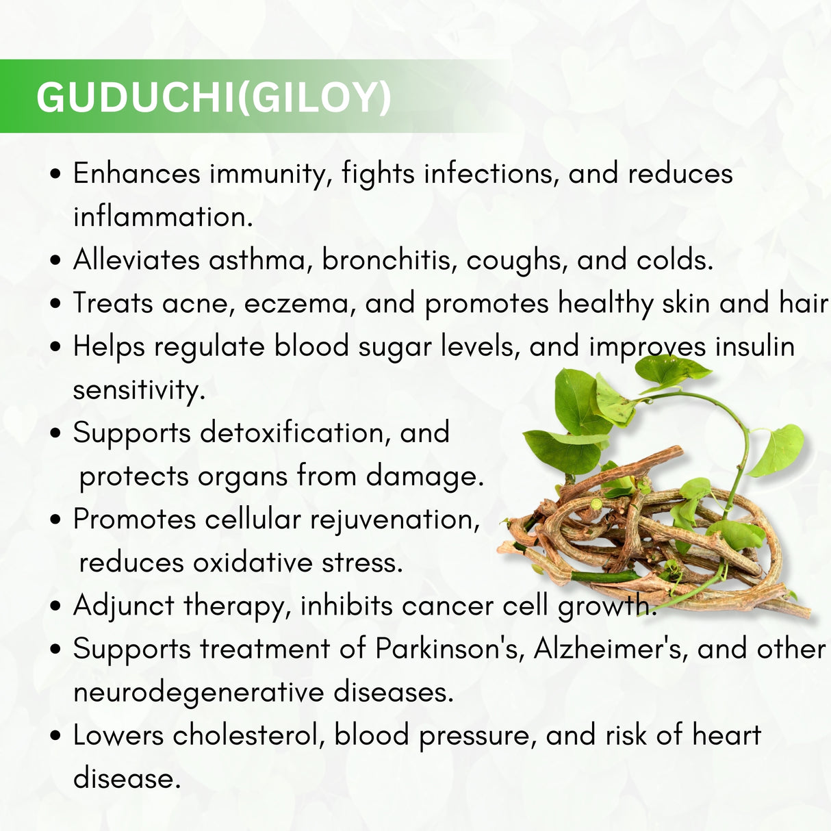 Guduchi ( Giloy ) Capsules -  For Improves Immunity & Anti-microbial Properties | 30 Capsules