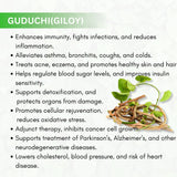 Guduchi ( Giloy ) Capsules -  For Improves Immunity & Anti-microbial Properties | 30 Capsules