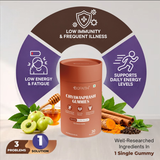 Chyawanprash Gummies – 30 Gummies