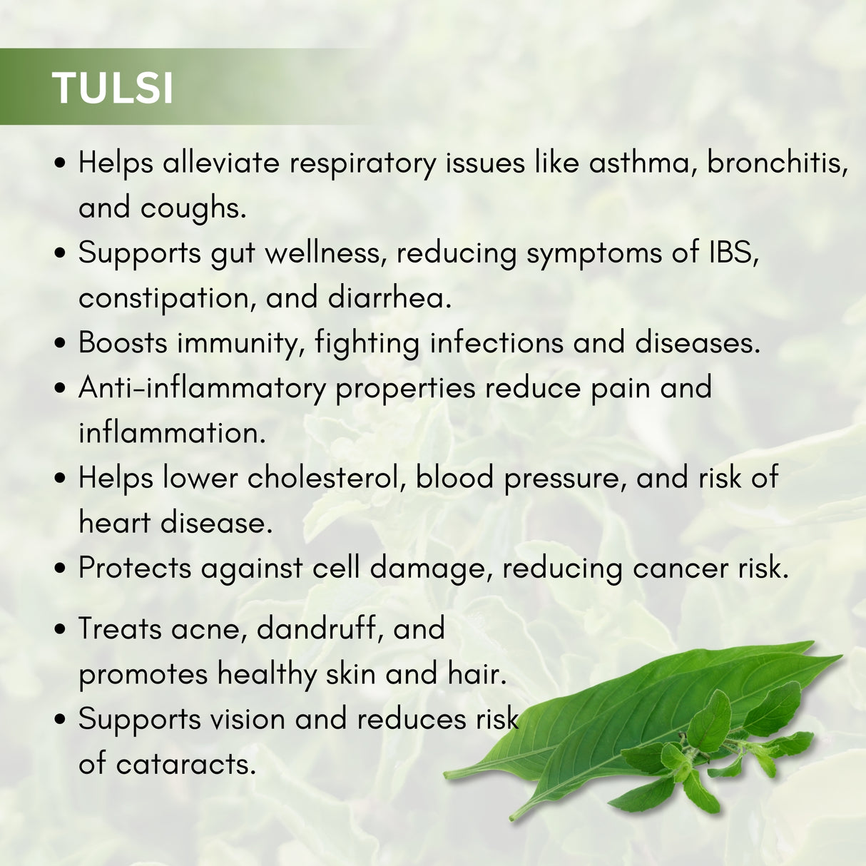 Tulsi Capsules - Respiratory Care and Relief from Cough & Cold | 30 Capsules